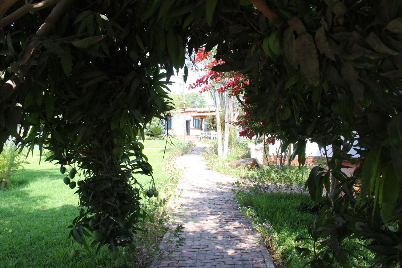 Casa Hacienda Nasca Oasis Hotel นัซกา ภายนอก รูปภาพ