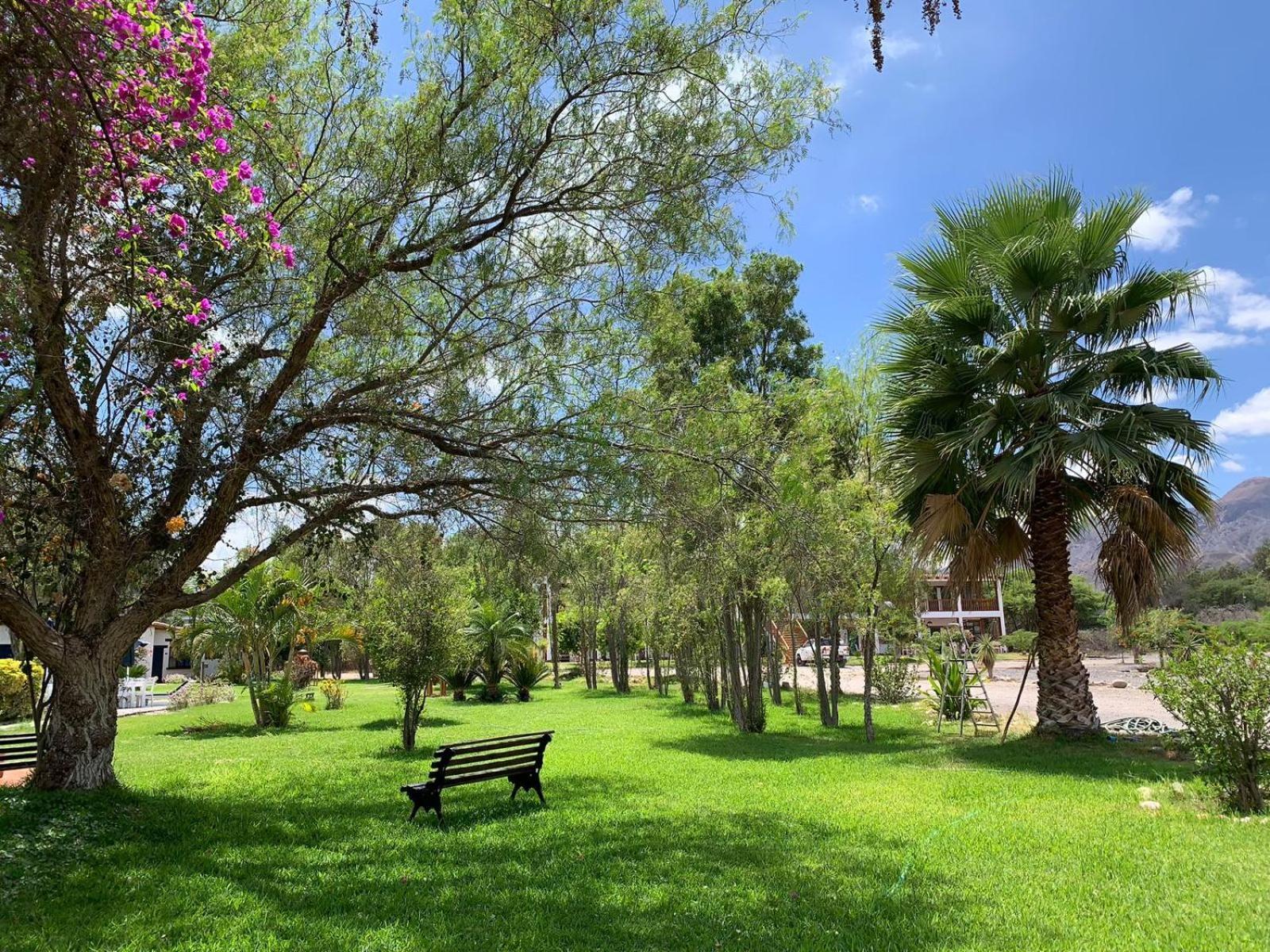 Casa Hacienda Nasca Oasis Hotel นัซกา ภายนอก รูปภาพ