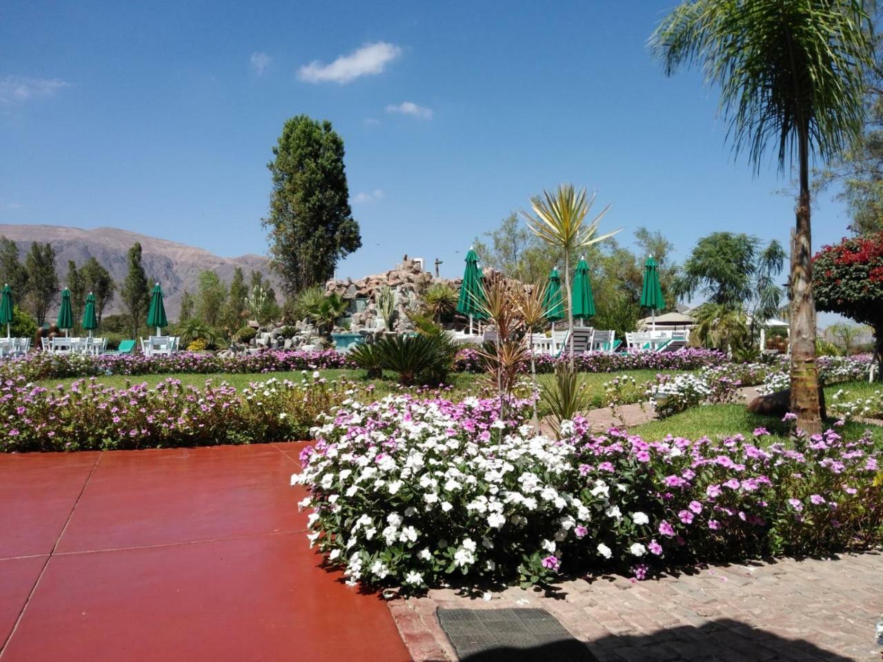 Casa Hacienda Nasca Oasis Hotel นัซกา ภายนอก รูปภาพ